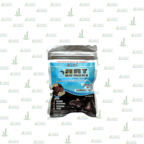 Leads EH - RNM (Chocolate) RNM (Chocolate)